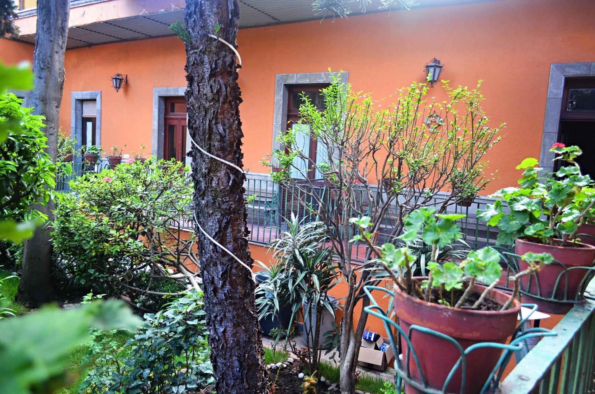 Hacienda Gobernadores Mexico City Exteriör bild